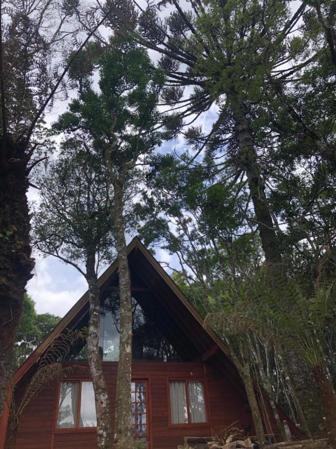 A Cabana Sao Chico São Francisco de Paula Dış mekan fotoğraf