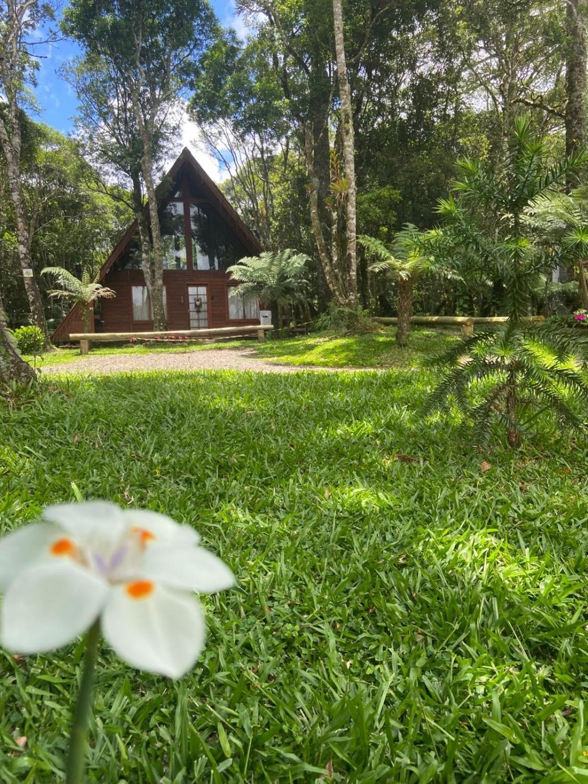 A Cabana Sao Chico São Francisco de Paula Dış mekan fotoğraf